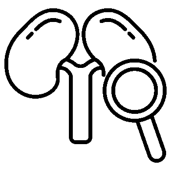Urologia